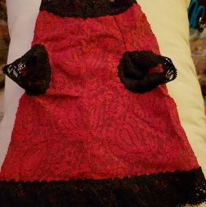 Dog/cat sexy lace shirt